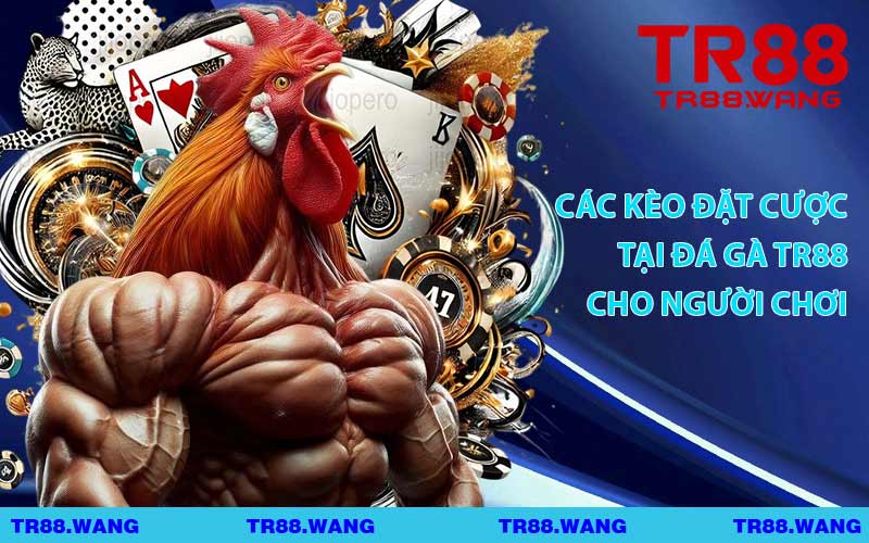 Các Kèo Đặt Cược Tại Đá Gà TR88 Cho Người Chơi