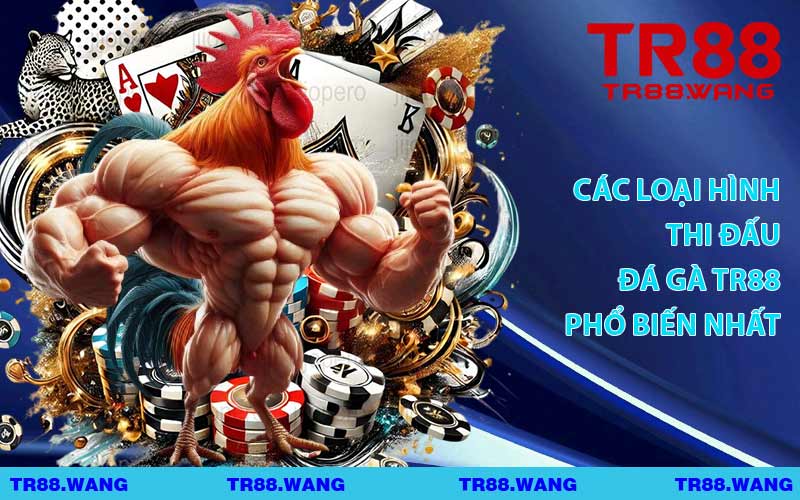 Các Loại Hình Thi Đấu Đá Gà TR88 Phổ Biến Nhất