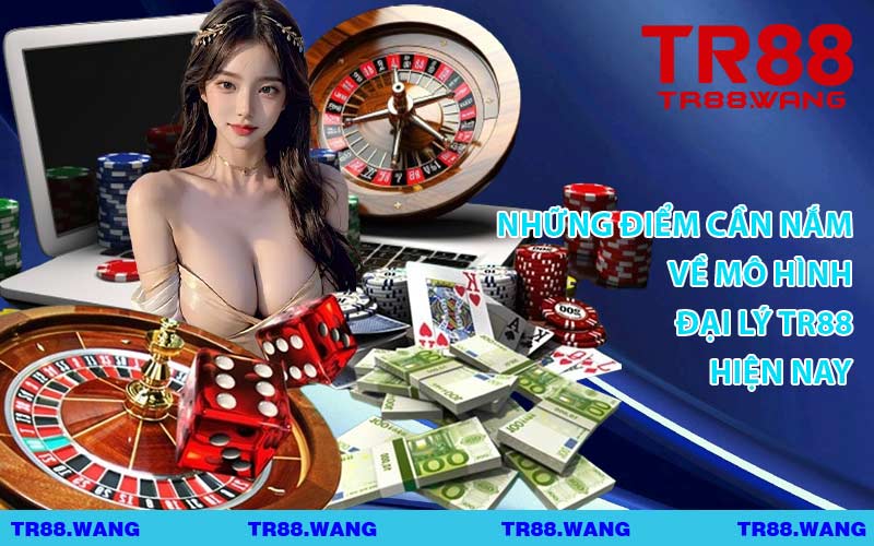 Những Điểm Cần Nắm Về Mô Hình Đại Lý TR88 Hiện Nay