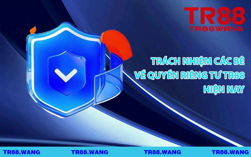 Trách Nhiệm Các Bên Về Quyền Riêng Tư TR88 Hiện Nay